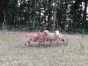 20180820_152051.jpg