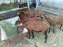 CAM00491.jpg
